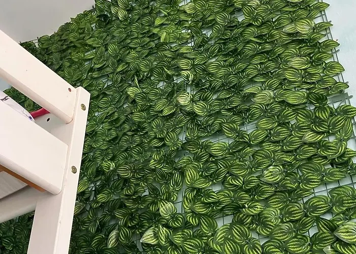 Julesence Lesencetomaj