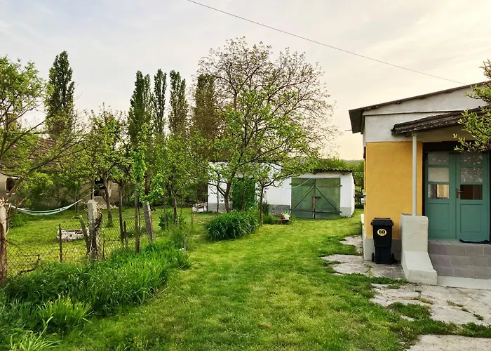 Julesence Lesencetomaj